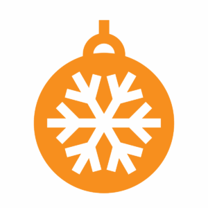 Christmas Lights Taxi Tour